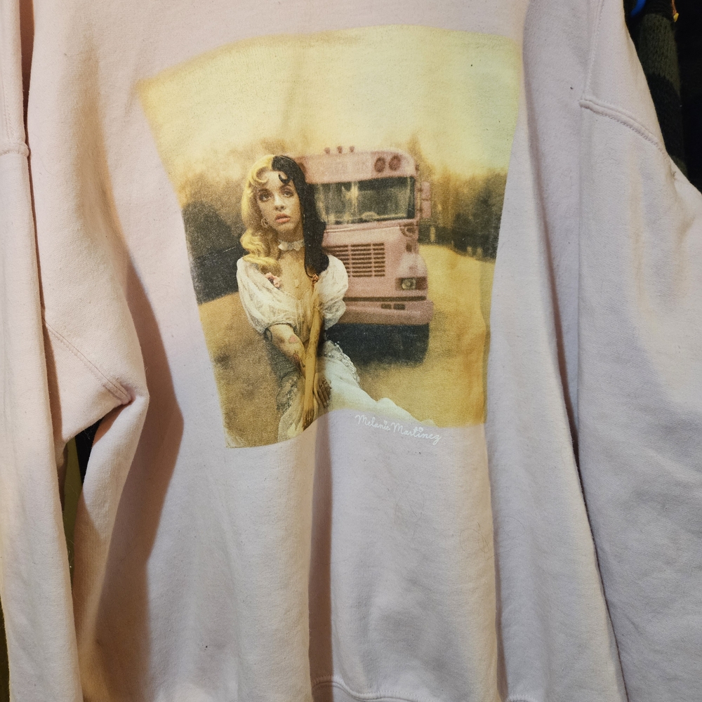 Gildan Light Pink Graphic Women's Sweater